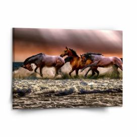 Obraz SABLIO - Koně ve vodě 150x110 cm