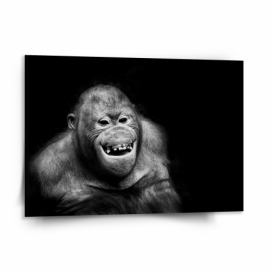 Obraz SABLIO - Orangutan 150x110 cm