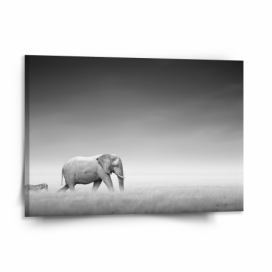 Obraz SABLIO - Slon a zebra 150x110 cm