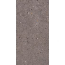 Dlažba Pastorelli Biophilic dark grey 60x120 cm mat P009416 (bal.0,720 m2)