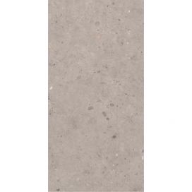 Dlažba Pastorelli Biophilic grey 60x120 cm mat P009415 (bal.1,440 m2)