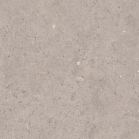 Dlažba Pastorelli Biophilic grey 80x80 cm mat P009419 (bal.1,280 m2)