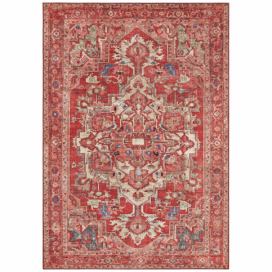 Nouristan - Hanse Home koberce Kusový koberec Asmar 104018 Orient/Red - 80x150 cm Bonami.cz