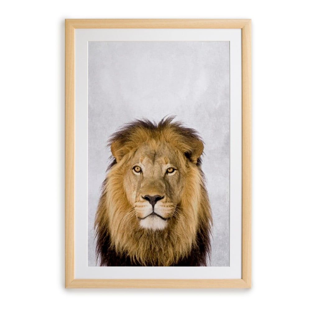 Nástěnný obraz v rámu Surdic Lion, 30 x 40 cm - Bonami.cz