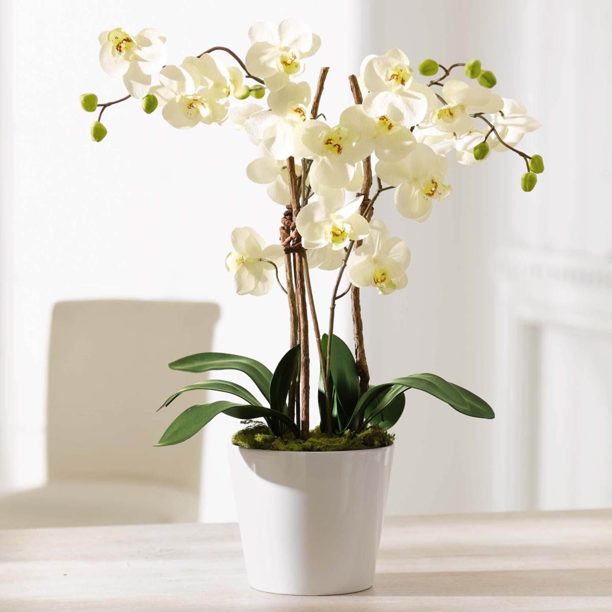 SCHNEIDER Umělá orchidej Elegance - Velký Košík