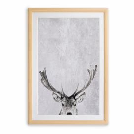 Nástěnný obraz v rámu Surdic Deer, 35 x 45 cm Bonami.cz