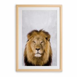 Nástěnný obraz v rámu Surdic Lion, 30 x 40 cm Bonami.cz
