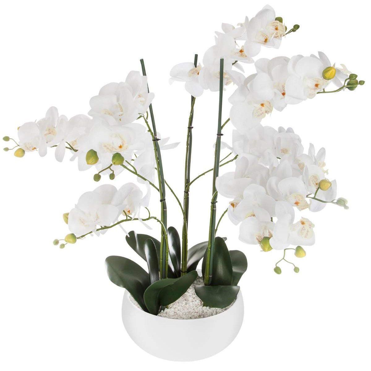 Atmosphera Umělá rostlina, umělá orchidej, bílý květináč, 65 cm - EDAXO.CZ s.r.o.