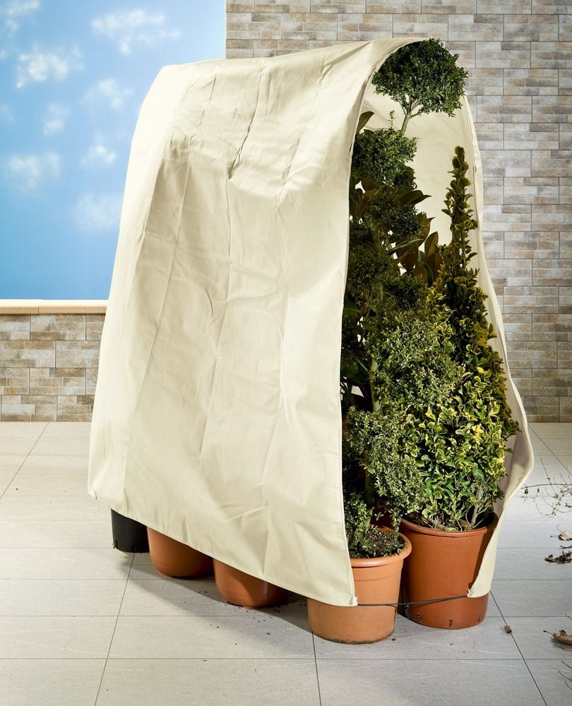 Wenko ochrana rostlin, béžová ( rozměry: 200 x 240 cm ) - Velký Košík