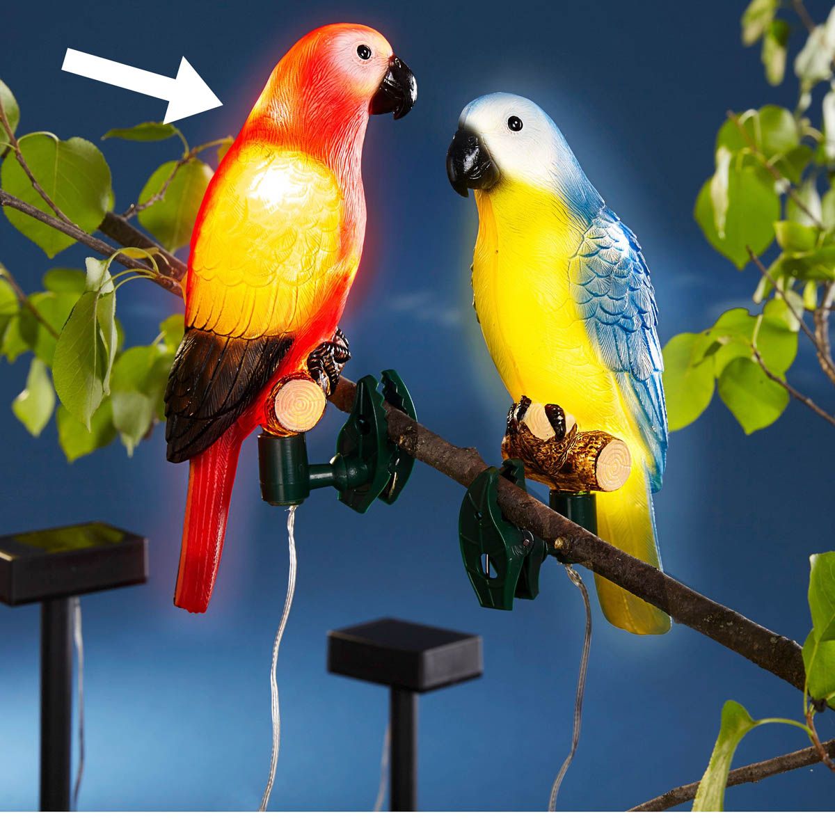 Solární papoušek Gusta - Velký Košík