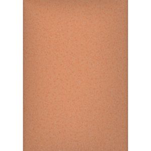 Tarkett | PVC podlaha Stella Ruby 3755060 (Tarkett), šíře 200 cm, PUR, oranžová - Favi.cz
