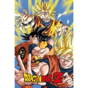 Plakát Dragon Ball Z - Goku - Favi.cz