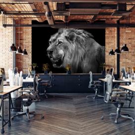 Malvis Tapeta Černobílý lev Vel. (šířka x výška): 144 x 105 cm