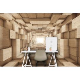 Malvis 3D tapeta dřevěný tunel Vel. (šířka x výška): 144 x 105 cm