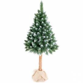 Aga Vánoční stromeček 220 cm s kmenem