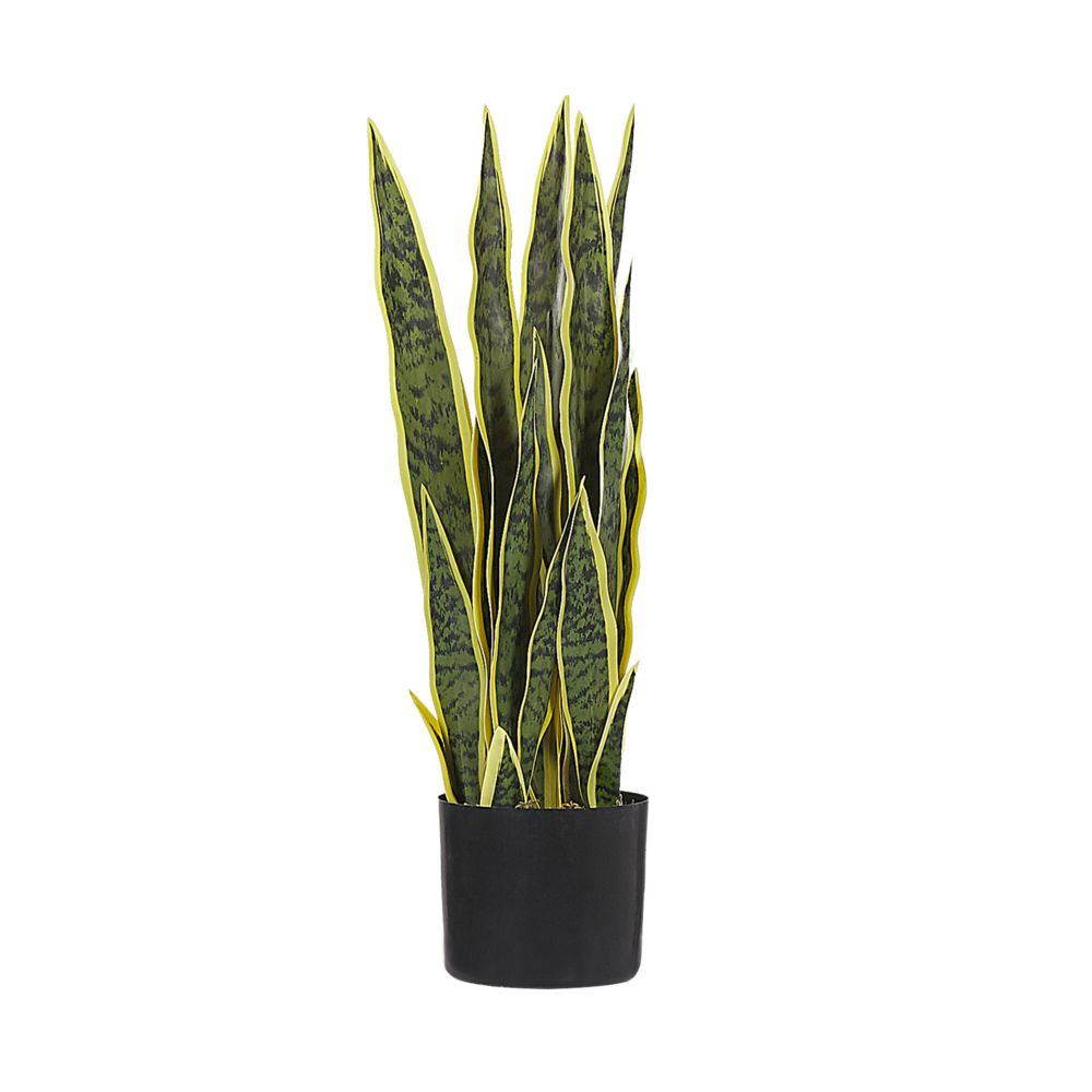 Umělá rostlina SNAKE PLANT Zelená - Beliani.cz