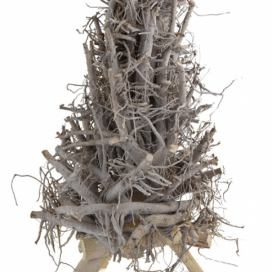 Vingo Bílý stromeček z kořene - 28x50cm