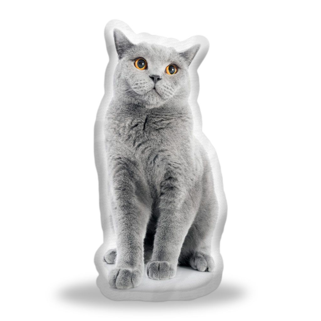 Polštář 3D SABLIO - Britská kočka - E-shop Sablo s.r.o.