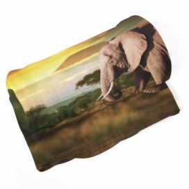 Deka SABLIO - Slon z profilu 190x140 cm