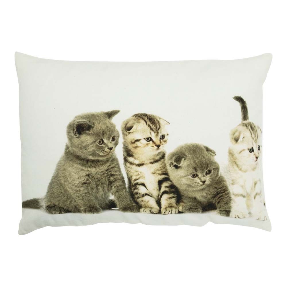 Bavlněný polštář Britská koťata 35x50 cm - 50*10*35cm Mars & More - LaHome - vintage dekorace