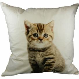 Bavlněný polštář Mourovaté kotě 50x50 cm - 50*10*50cm Mars & More LaHome - vintage dekorace