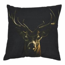 Černý polštář s jelenem Black Deer - 50*10*50cm Mars & More LaHome - vintage dekorace
