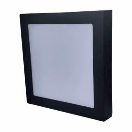 Greenlux LED Stropní svítidlo FENIX LED/12W/230V 2800K 17 cm 