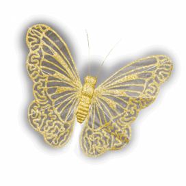 Zlatý motýl