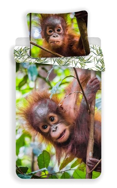 Jerry Fabrics povlečení bavlna fototisk Orangutan 02 140x200 70x90 cm   - POVLECENI-OBCHOD.CZ