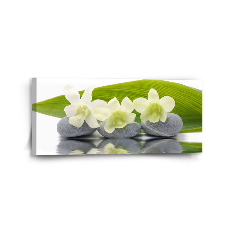 Obraz SABLIO - Bílá orchidej 110x50 cm - E-shop Sablo s.r.o.
