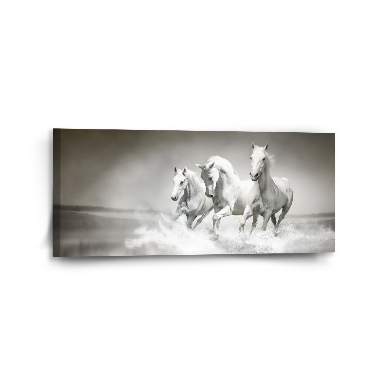 Obraz SABLIO - Bílí koně 110x50 cm - E-shop Sablo s.r.o.