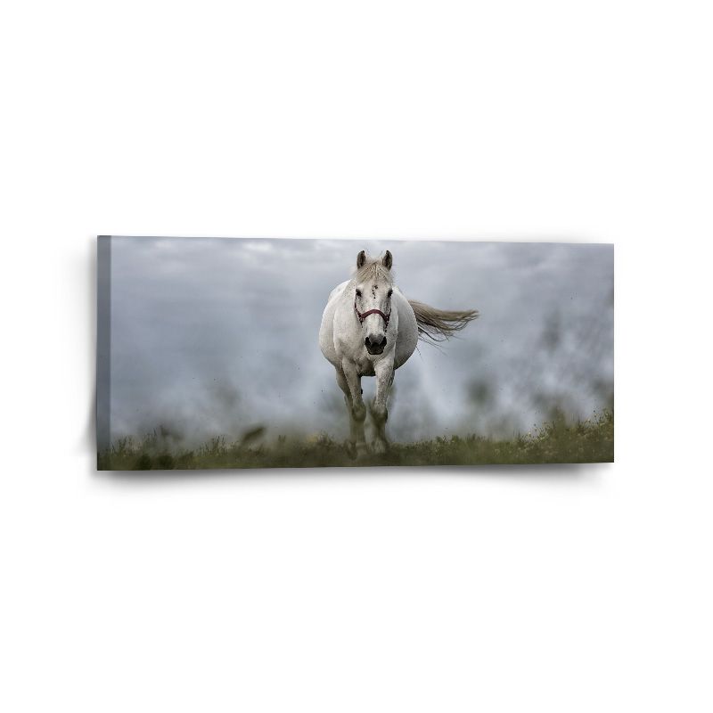Obraz SABLIO - Bílý kůň 3 110x50 cm - E-shop Sablo s.r.o.