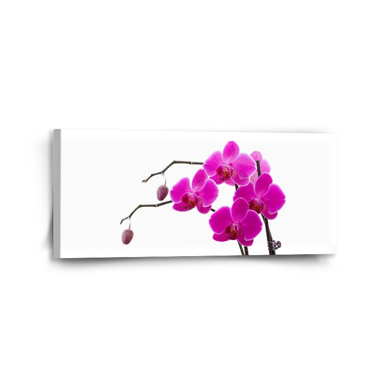 Obraz SABLIO - Fialové orchideje 110x50 cm - E-shop Sablo s.r.o.