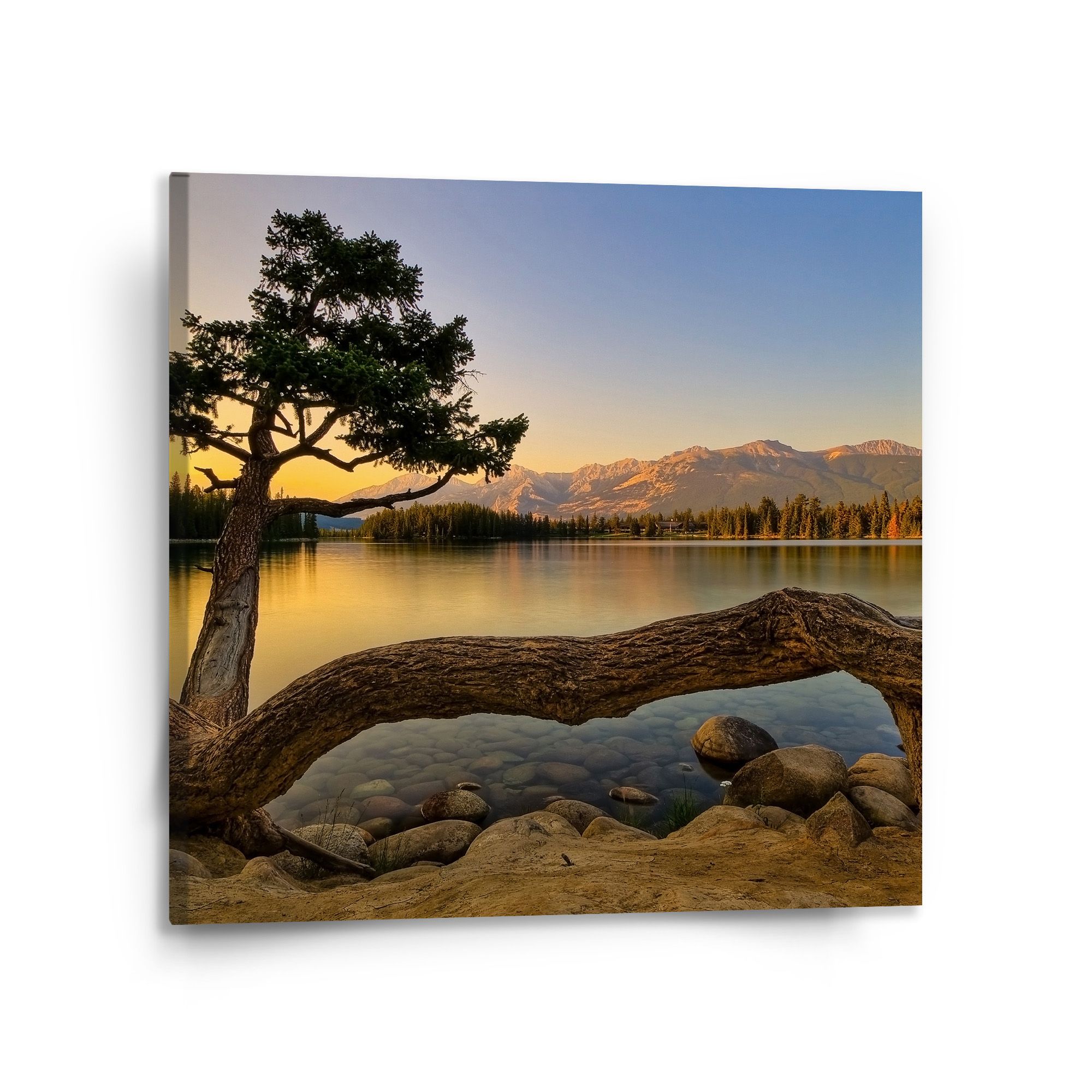 Obraz SABLIO - Strom u jezera 110x110 cm - E-shop Sablo s.r.o.