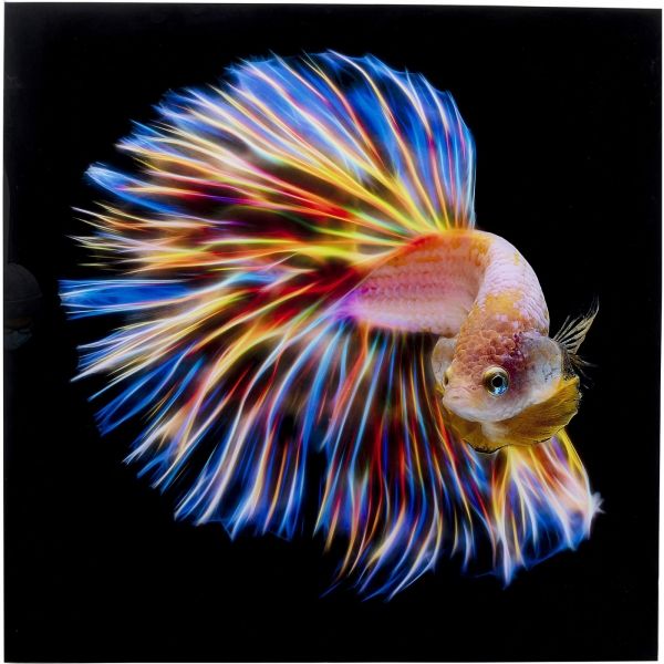 Skleněný obraz Electric Fish 100x100cm - KARE