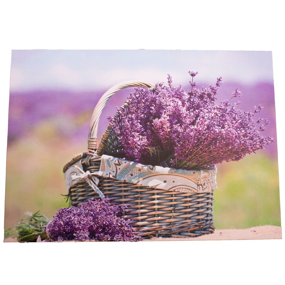 Obraz na plátně s levandulí Provence, 30 x 40 cm - 4home.cz