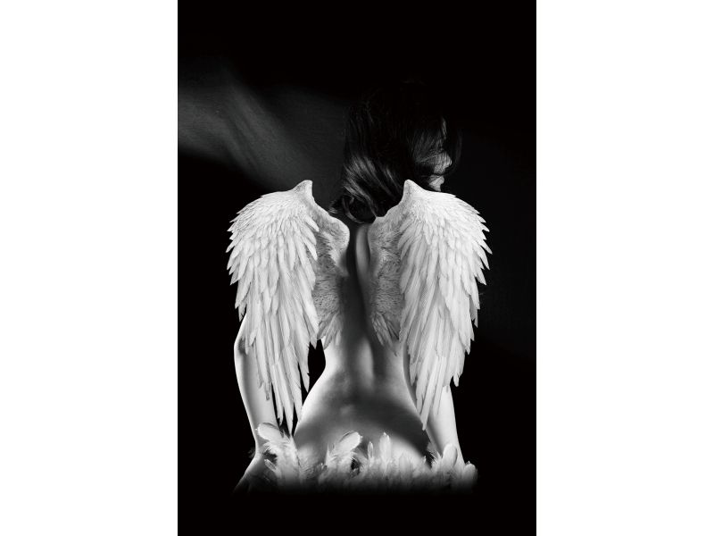 Obraz ANGEL 80X120 - Nabytek-Bogart.cz