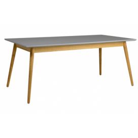 Matně šedý lakovaný jídelní stůl Tenzo Dot 180 x 90 cm