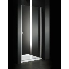Aquatek Glass B1 100 sprchové dveře do niky jednokřídlé 96-100cm A152507