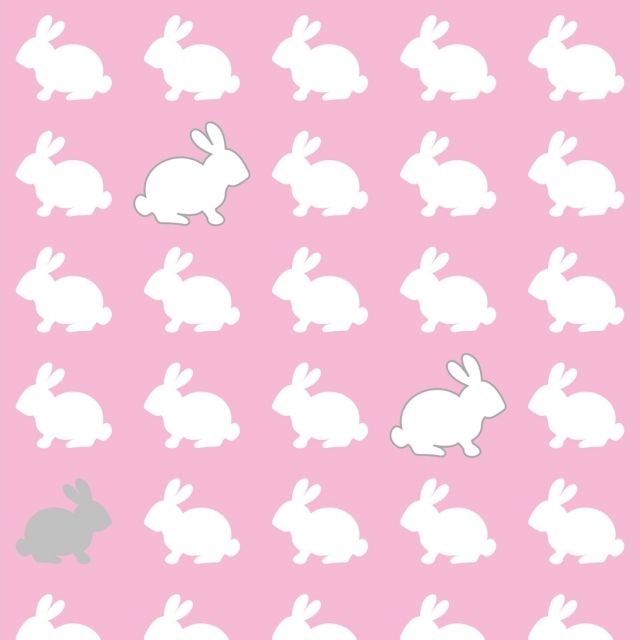 tapeta rabbits - Homedesign-shop.com