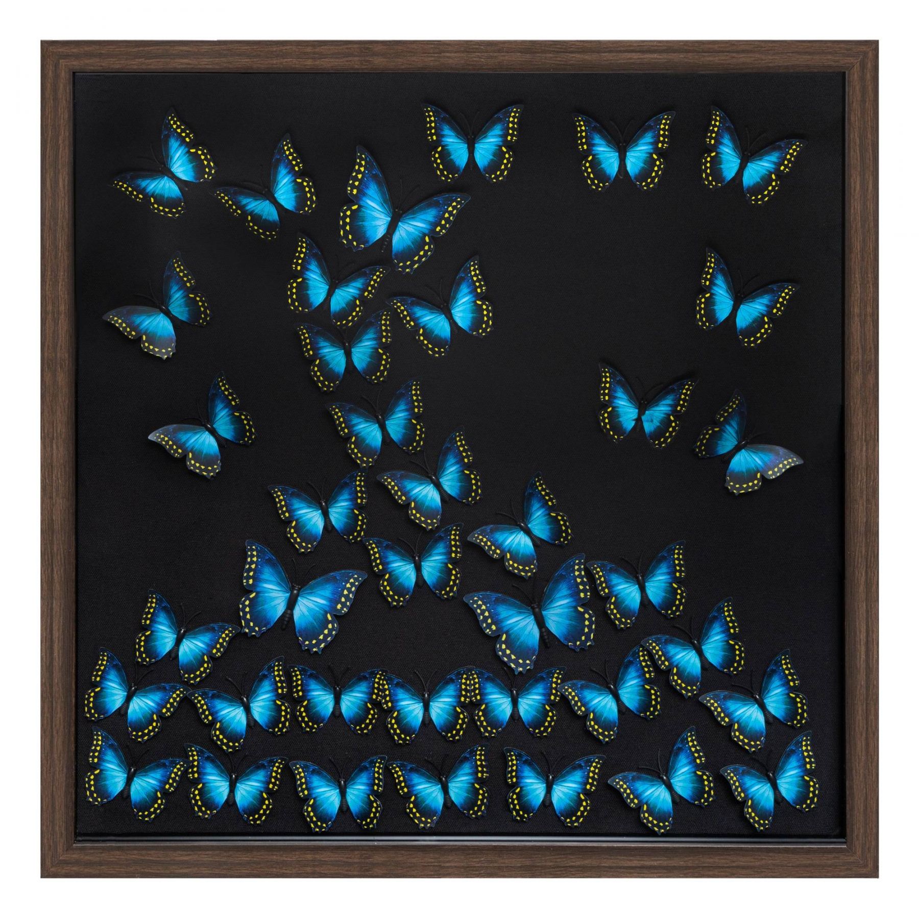 Atmosphera Nástěnná dekorace 3D s motýly, 55 x 55 cm - EDAXO.CZ s.r.o.