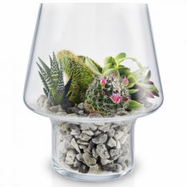 EVA SOLO Skleněná váza na sukulenty 15 cm