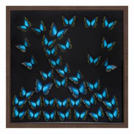 Atmosphera Nástěnná dekorace 3D s motýly, 55 x 55 cm