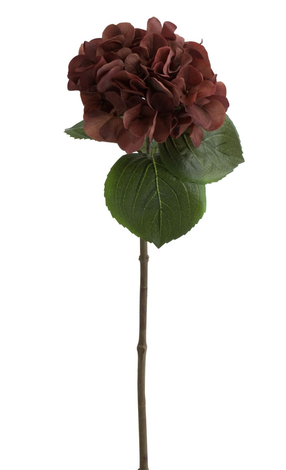 Hnědá dekorační květina Hortenzie - 17*62 cm J-Line by Jolipa - LaHome - vintage dekorace