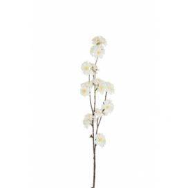 Dekorační umělá větvička s krémovými květy Kersenboom - 77,5 cm J-Line by Jolipa