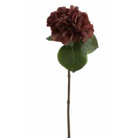 Hnědá dekorační květina Hortenzie - 17*62 cm J-Line by Jolipa
