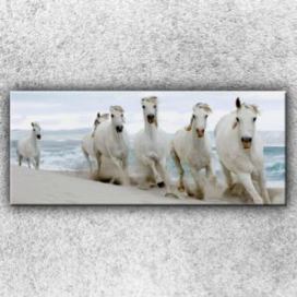 IMPAR Foto na plátno Koně na pláži 1 120x50 cm