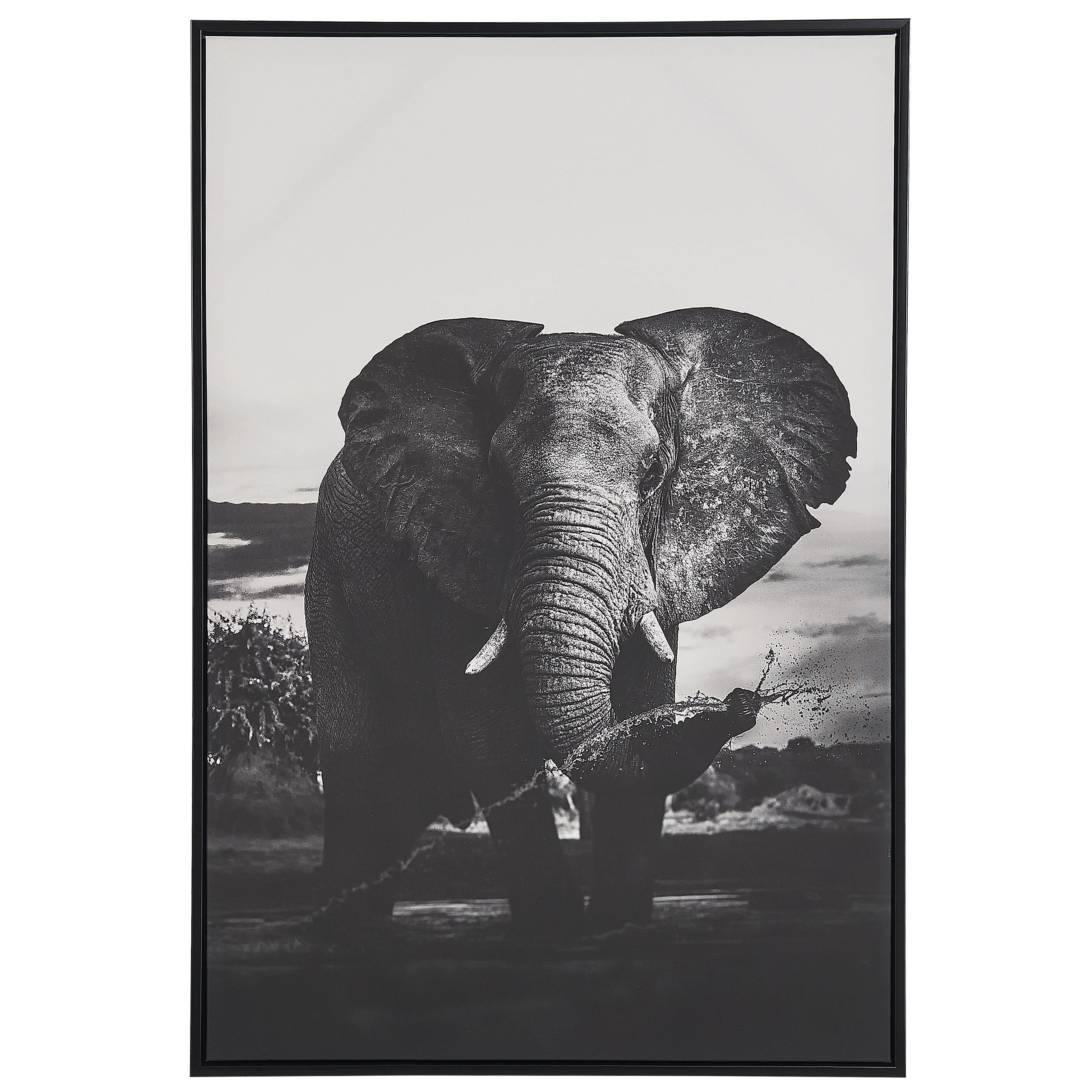 Zarámovaný obraz na plátně slon 63 x 93 cm šedý NIBBIA - Beliani.cz