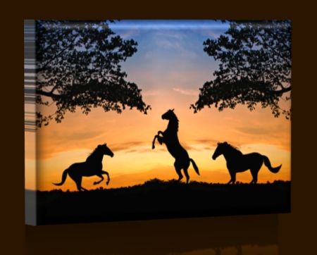LED obraz Koně při západu slunce 45x30 cm - LEDobrazy.cz