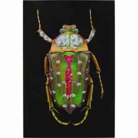 Skleněný obraz Rose Beetle 80x120cm
